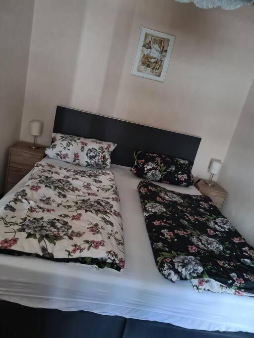 Gemuetliche Ferienwohnung Am Waldrand Elgersburg Zewnętrze zdjęcie