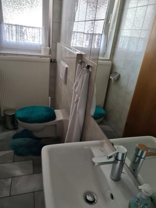 Gemuetliche Ferienwohnung Am Waldrand Elgersburg Zewnętrze zdjęcie